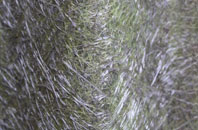 Stonegate fibreglass roof work